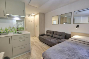Studio Pika Kranjska Gora